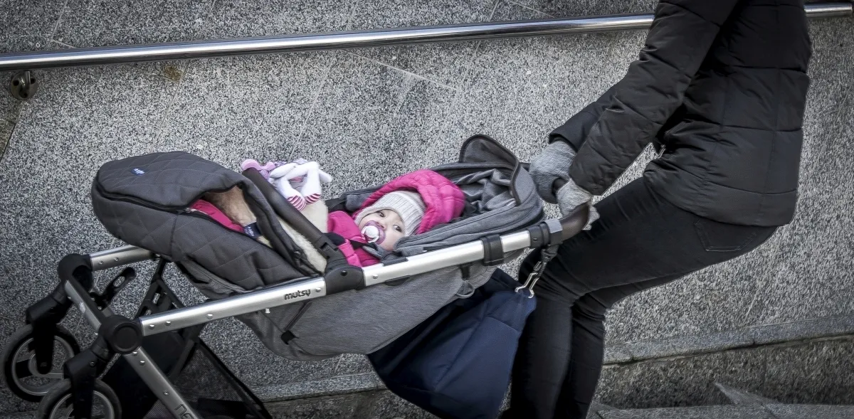 Wide monochrome field in dark gray tones, with strong contrast, defined edges, and a stretched dense field